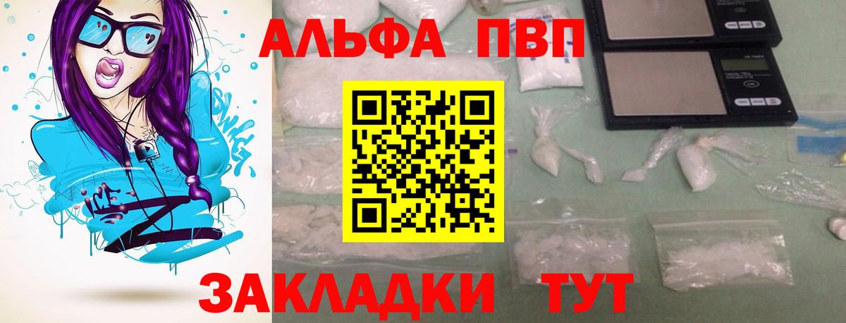 A PVP СК Новосибирск
