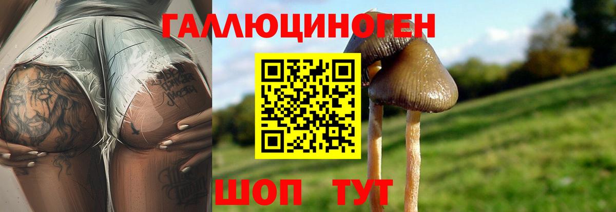 Галлюциногенные грибы ЛСД  где продают   Новосибирск  Вход с VPN 